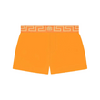 Load image into Gallery viewer, Greca swim shorts