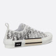 Load image into Gallery viewer, White and Black Dior Oblique Canvas
